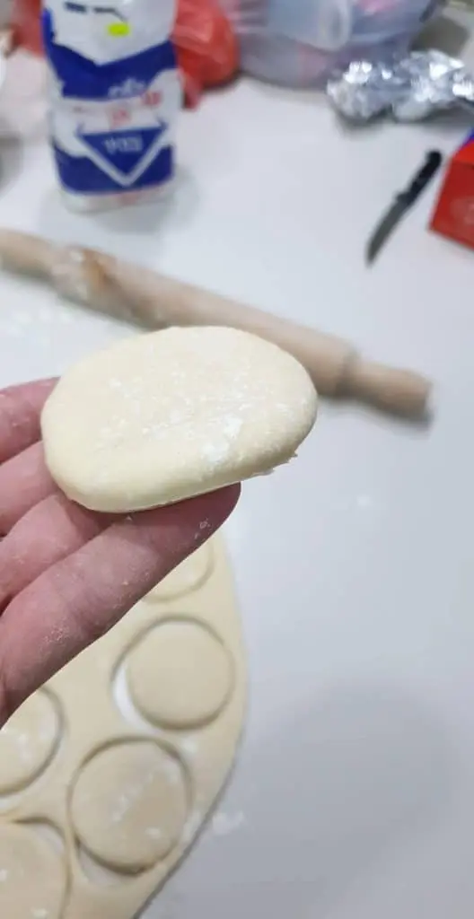 steamed chinese bao buns